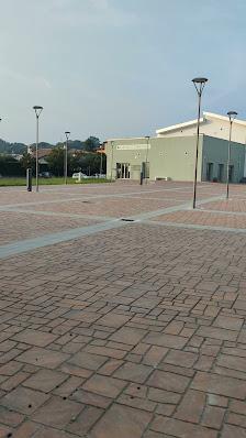 Tutte
