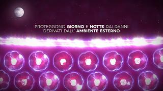 Dal proprietario