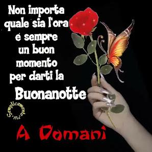 Tutte