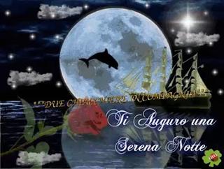 Tutte