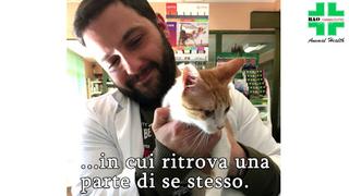 Gatto