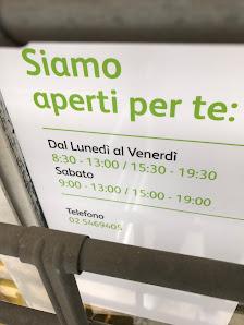 Tutte