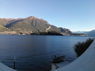 Tutte