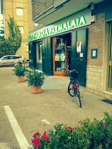 Tutte