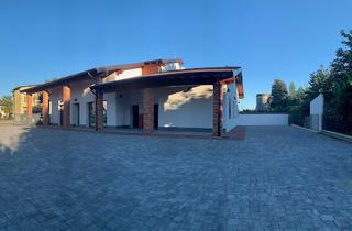 Tutte