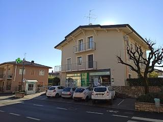 Tutte