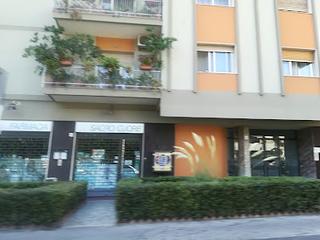 Tutte