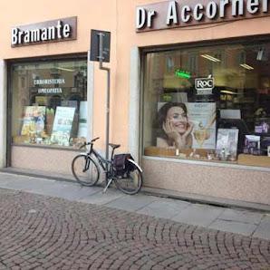 Tutte
