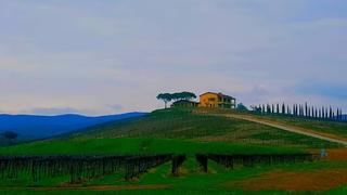 Tutte