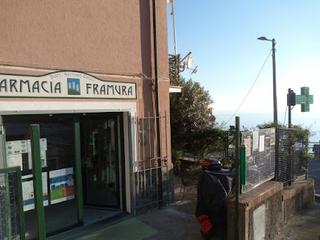 Tutte