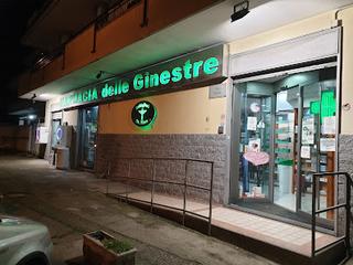 Tutte