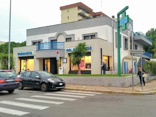 Tutte