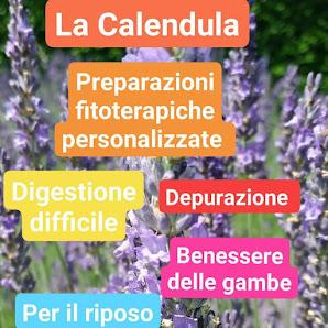 Tutte