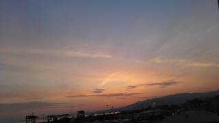 Tutte