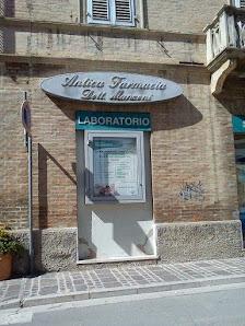 Tutte