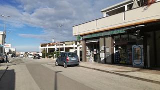 Tutte