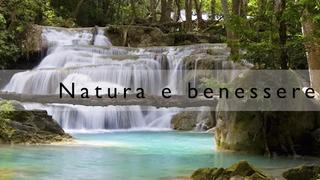 Tutte