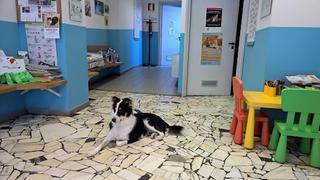 Tutte