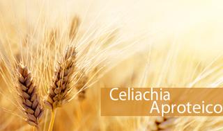 Dal proprietario
