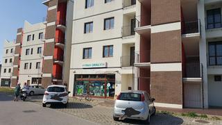 Tutte