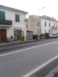 Tutte