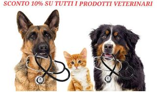 Tutte