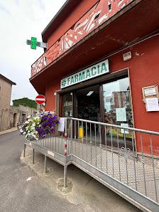 Tutte