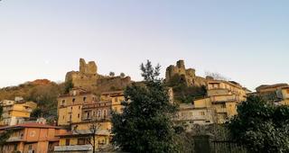 Tutte