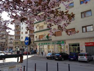 Dal proprietario