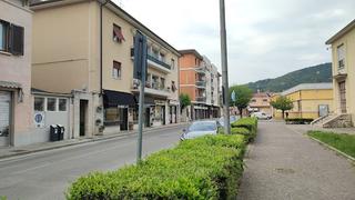 Tutte