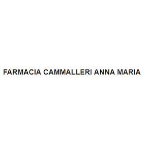 Dal proprietario