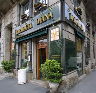 Dal proprietario