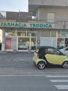Tutte