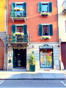 Tutte