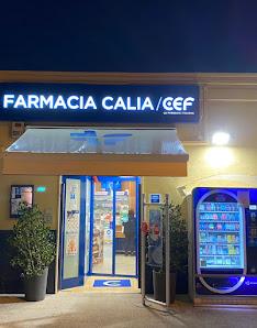 Dal proprietario