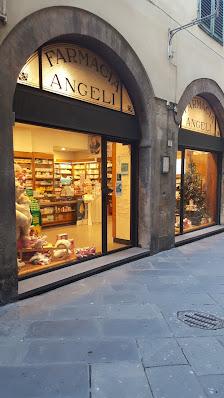 Tutte