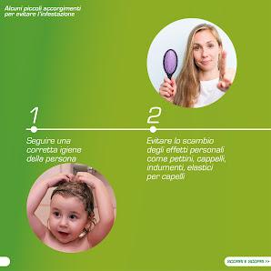 Tutte
