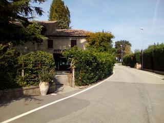 Tutte