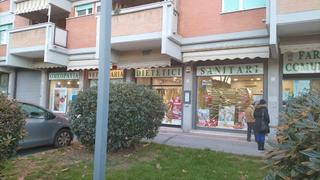 Tutte