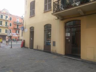 Tutte